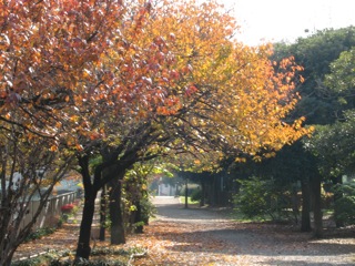 e0021328_1473080.jpg