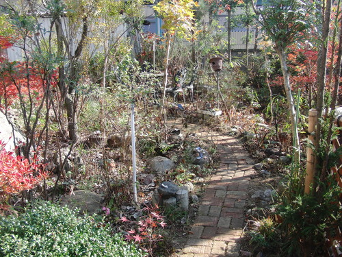 f0111128_902530.jpg