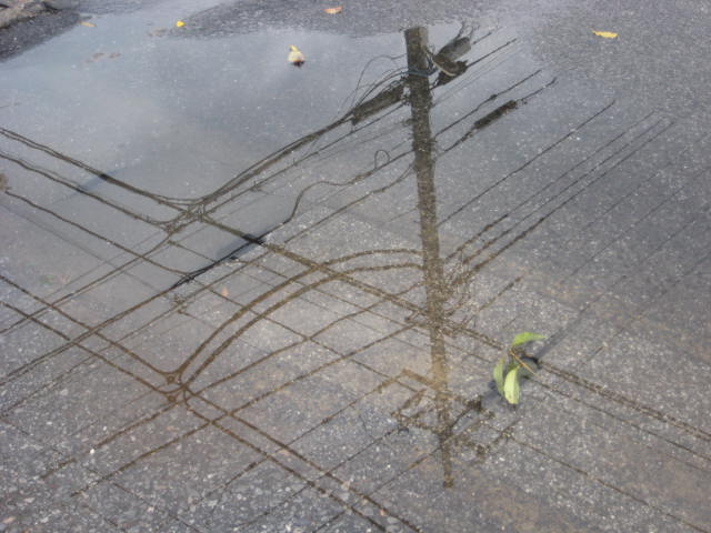 e0166032_8541382.jpg