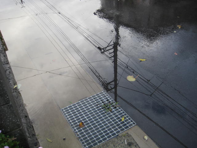 e0166032_8542382.jpg