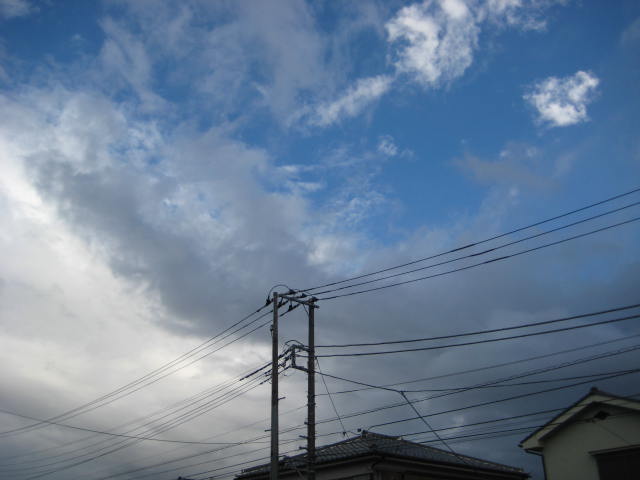 e0166032_8555134.jpg