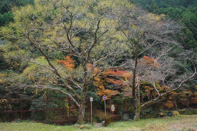 e0083238_21484275.jpg