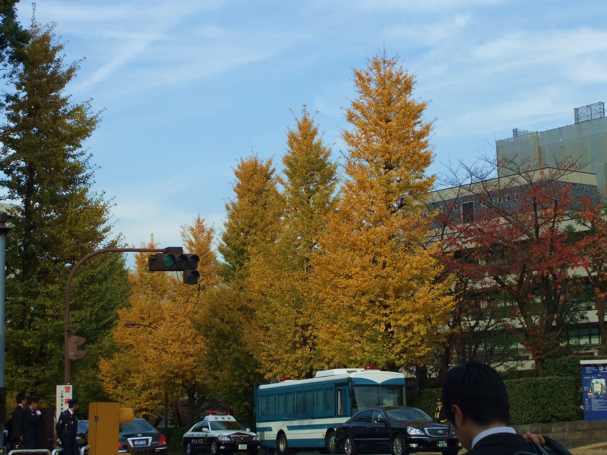 e0206242_17393640.jpg