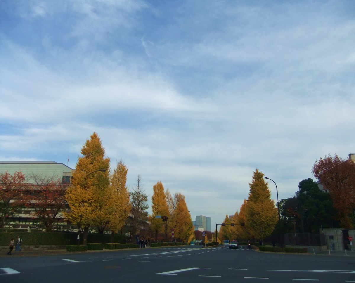 e0206242_173981.jpg
