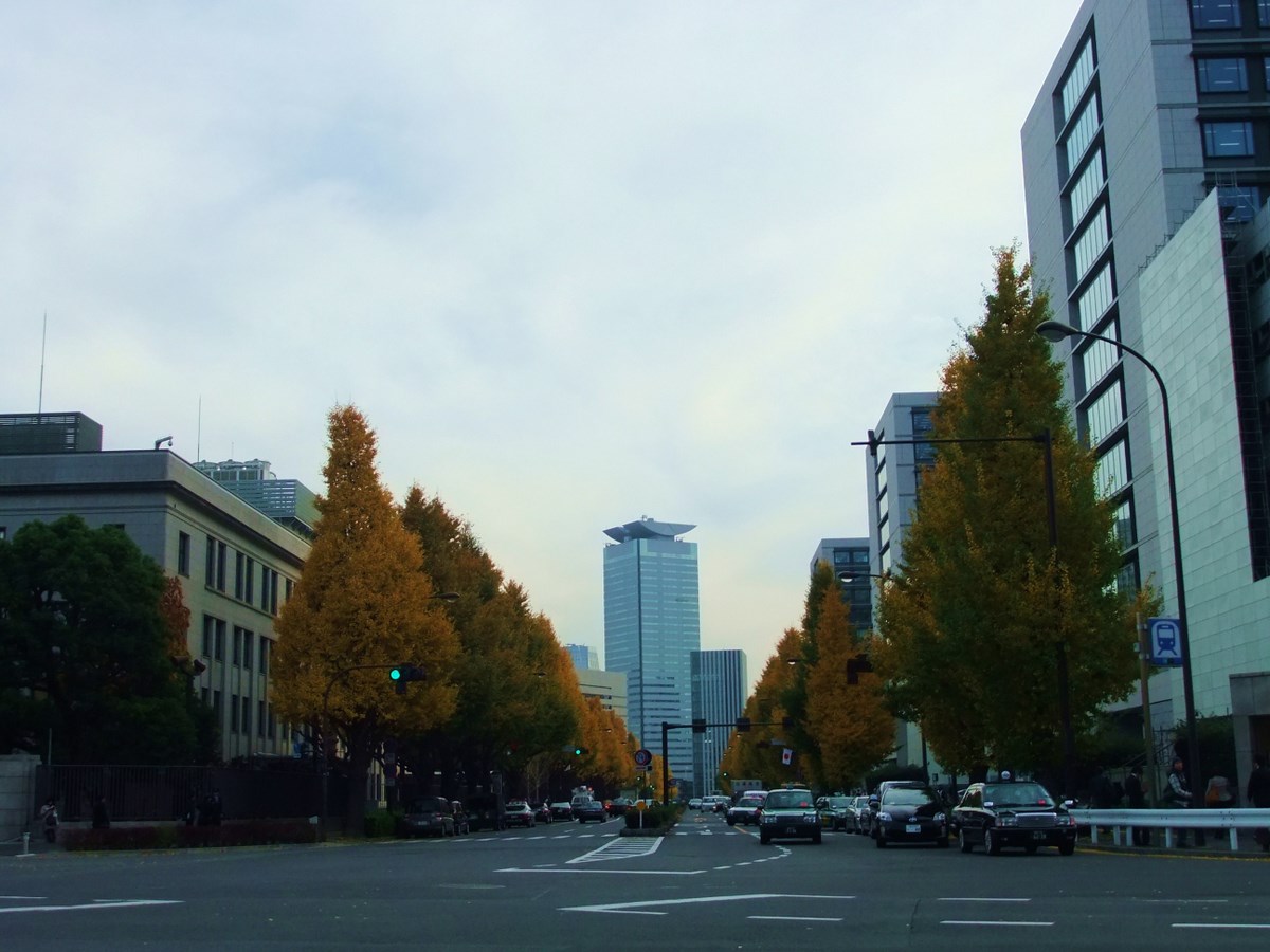 e0206242_1740093.jpg