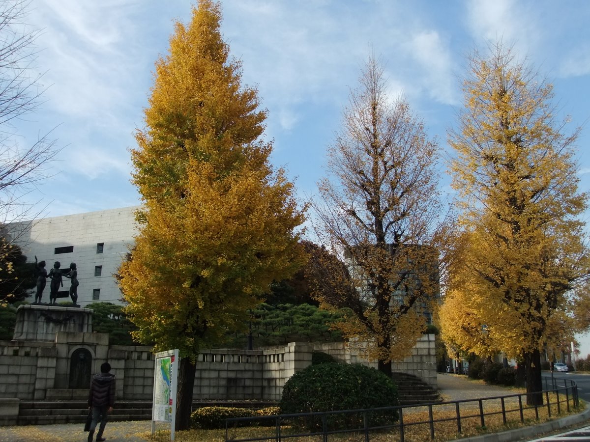e0206242_17413149.jpg