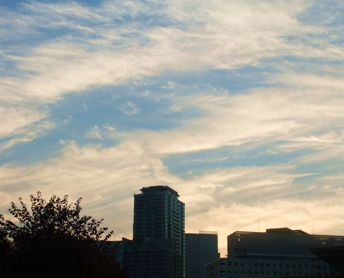 e0206242_17505128.jpg