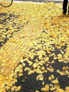 c0171349_10361759.jpg