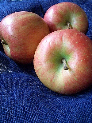 f0009451_100519.jpg