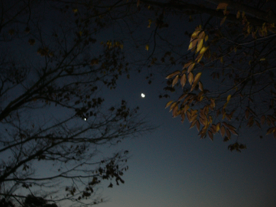 c0225153_2305880.gif