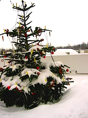 a0157554_20575557.jpg
