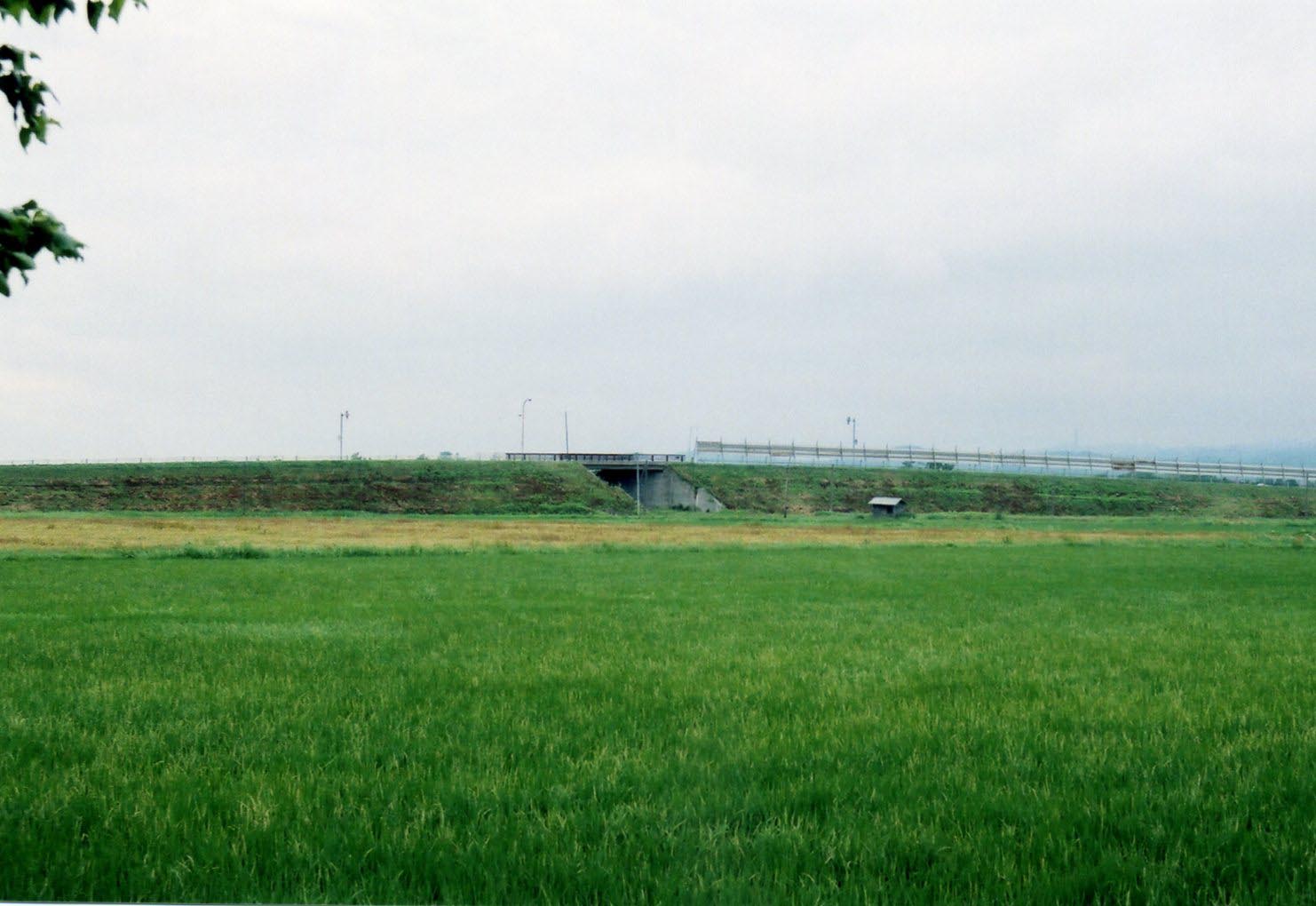 f0027355_21174286.jpg