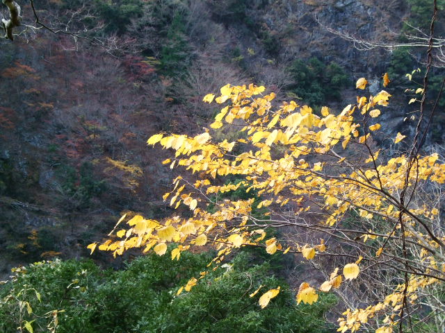 f0203260_0442355.jpg