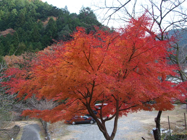 f0203260_044734.jpg