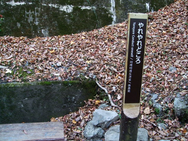 f0203260_050147.jpg