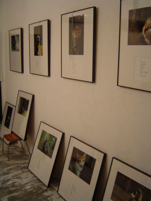 c0172261_2284077.jpg