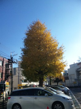 f0020662_2393499.jpg