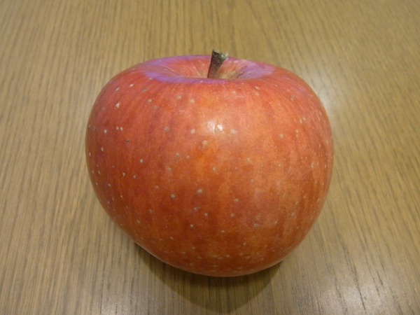 a0143465_1752119.jpg
