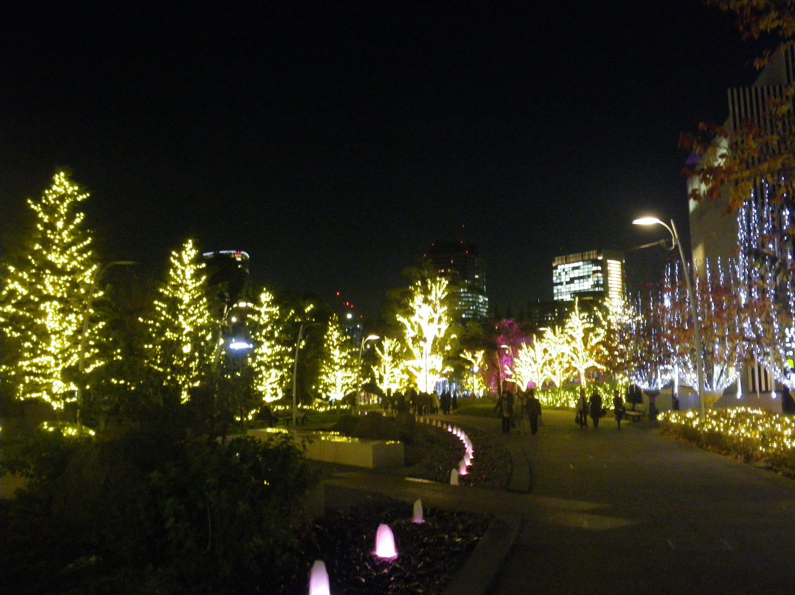f0157268_19205029.jpg