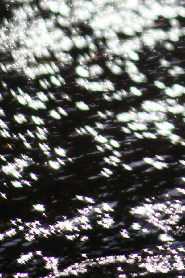 b0084270_23474716.jpg