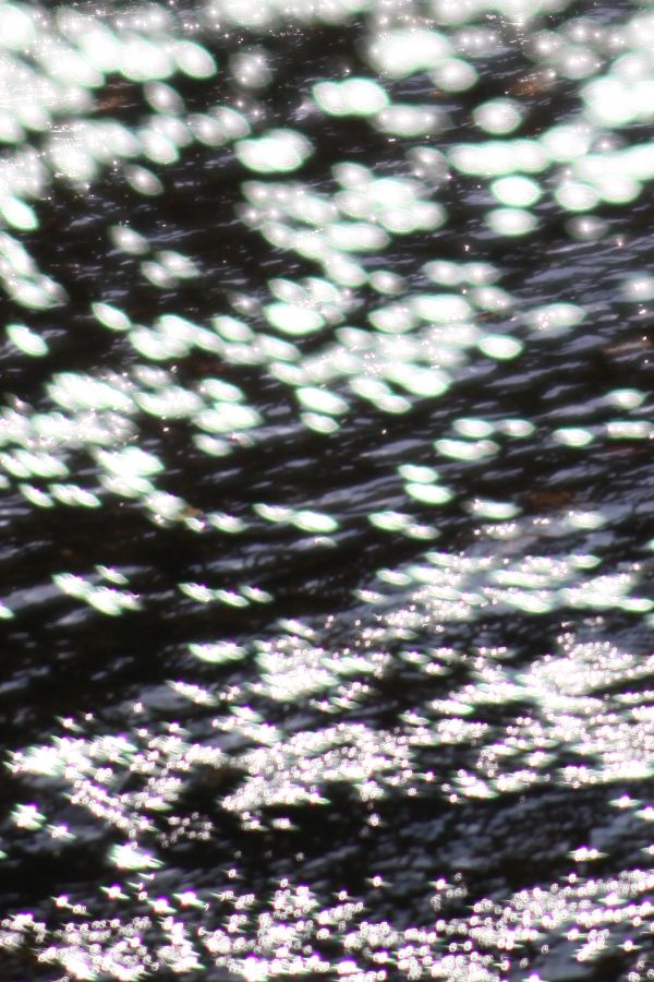 b0084270_23521962.jpg