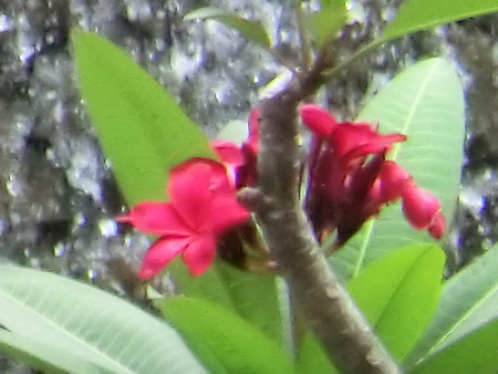 a0002177_12403420.jpg