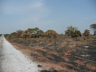 f0204578_6523420.jpg