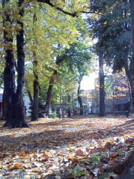 f0007580_2341369.jpg