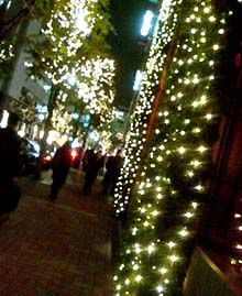 c0051781_0284316.jpg