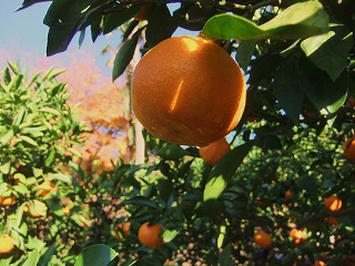 f0230584_23493798.jpg