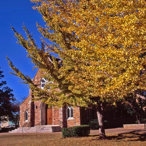 d0145790_742380.jpg