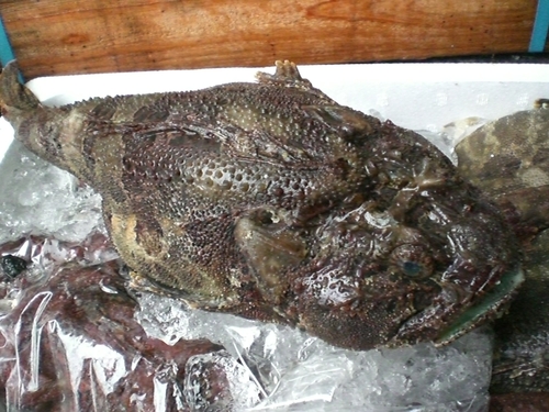 f0230992_1153249.jpg