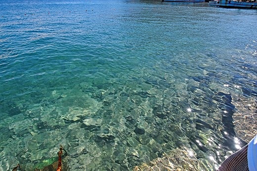 e0160595_2247543.jpg