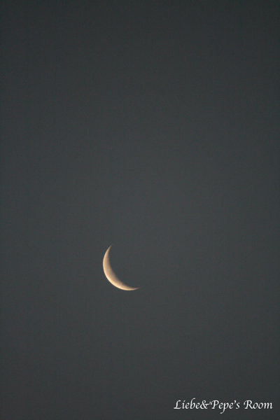 f0001895_2031232.jpg
