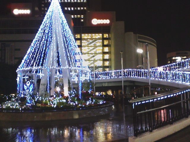 d0055397_6351170.jpg