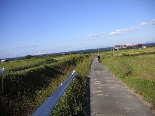d0115997_1841997.jpg