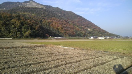 b0206300_19531315.jpg