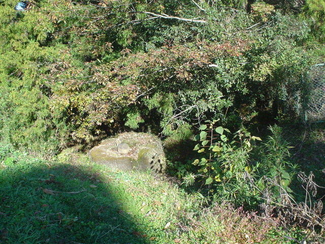 a0116205_23345665.jpg
