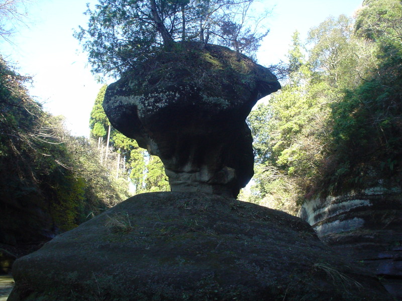 a0116205_23364146.jpg