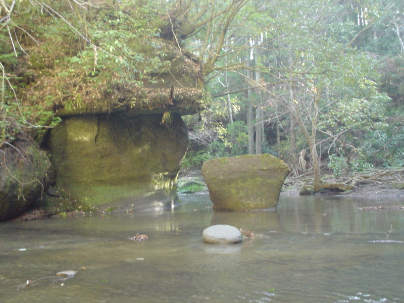 a0116205_23381646.jpg