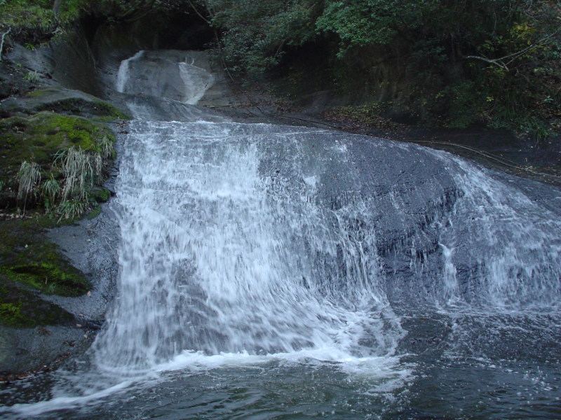 a0116205_23392546.jpg