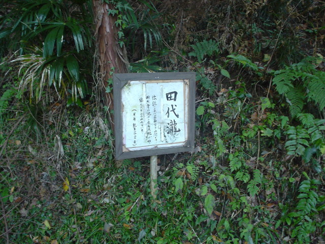 a0116205_23452512.jpg