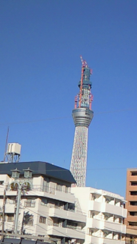 d0058606_916192.jpg