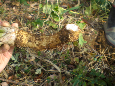 f0144707_19231557.jpg