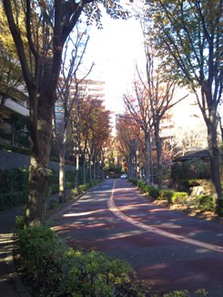 d0091909_14352064.jpg