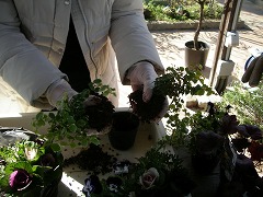 c0190010_2052478.jpg