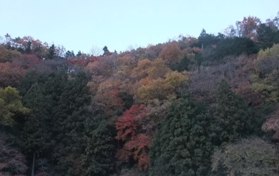f0068511_18565811.jpg