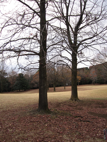 c0219815_22582635.jpg