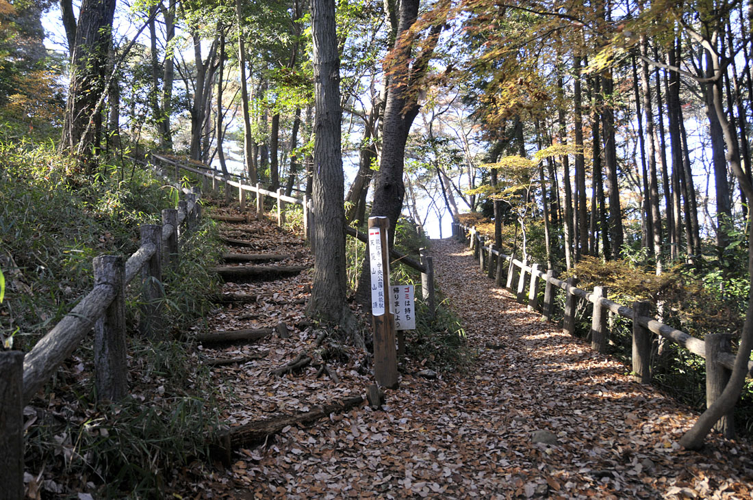 f0206417_2183647.jpg