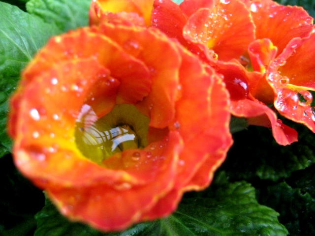 b0209919_217533.jpg